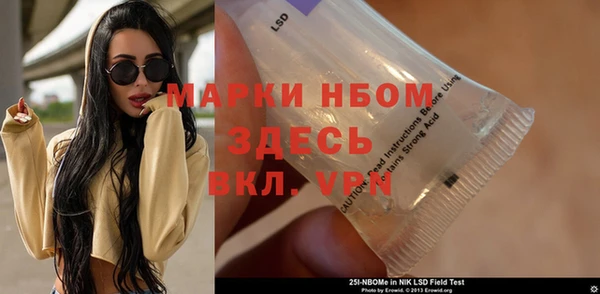сатива Абаза