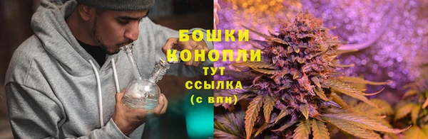 сатива Абаза